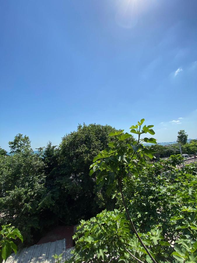 Golden Palace Sea View Κωνσταντινούπολη Εξωτερικό φωτογραφία